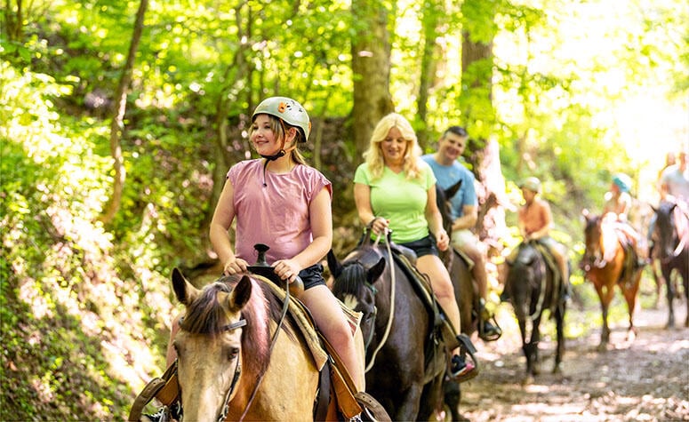 Adventure At Five Oaks - Riding Stables