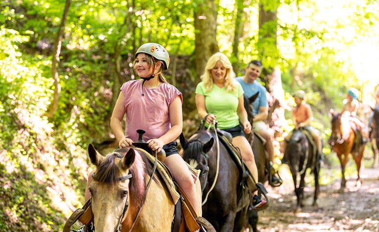 Adventure Park at Five Oaks