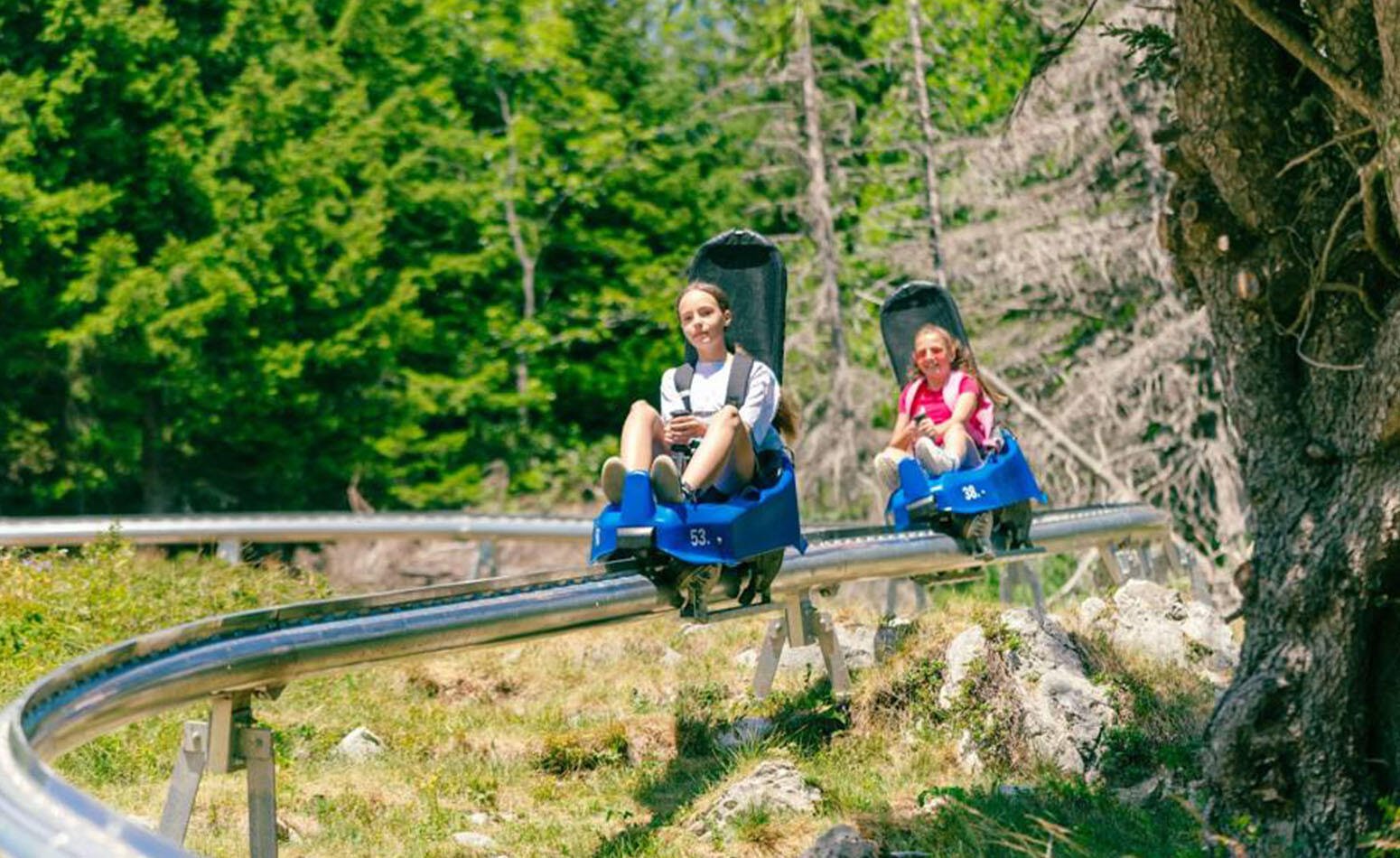 Smoky Mountain Alpine Coaster