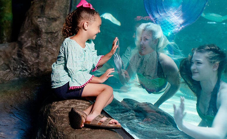 Ripleys Aquarium for kids in Gatlinburg  
