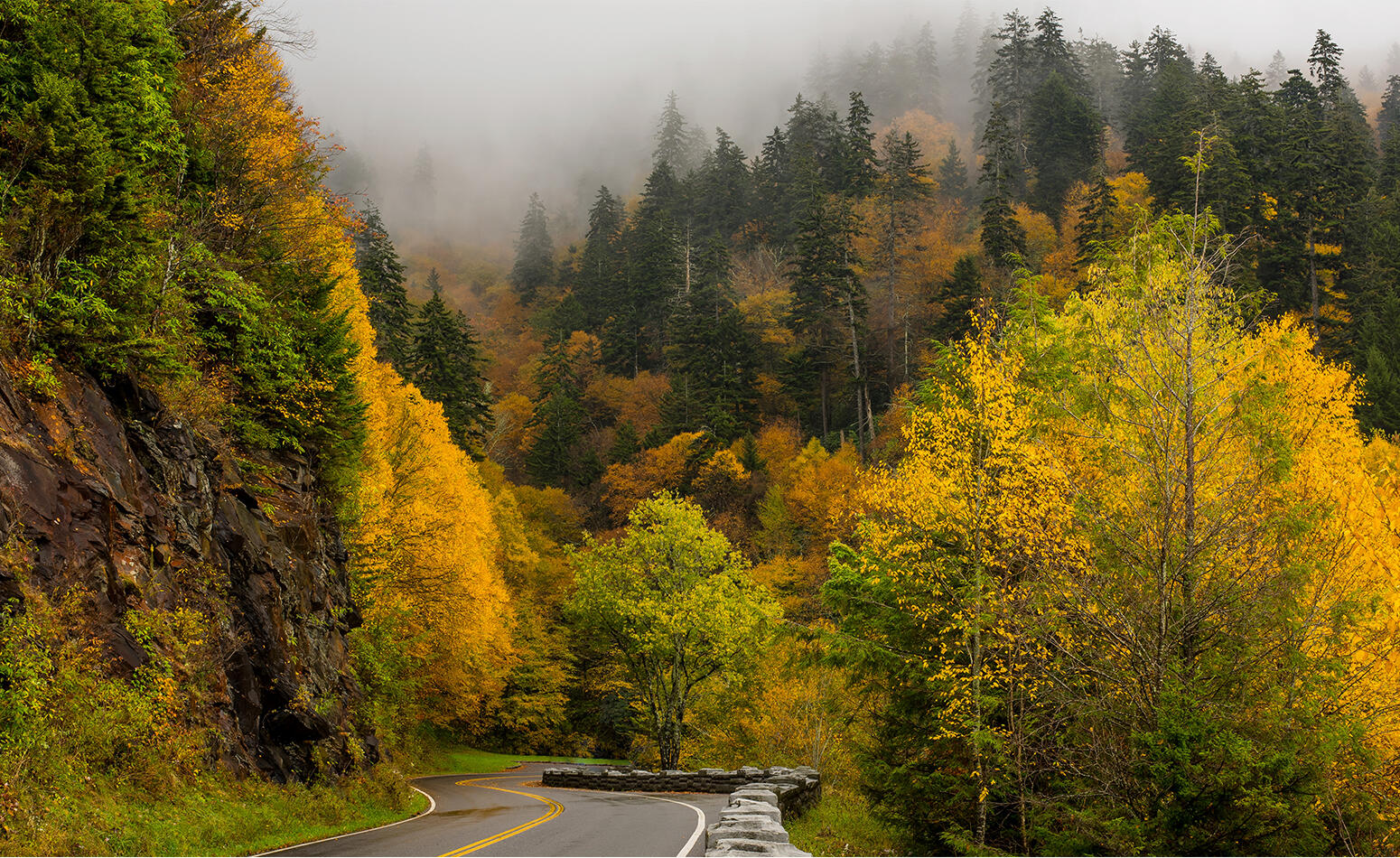 Newfound Gap driving trail
