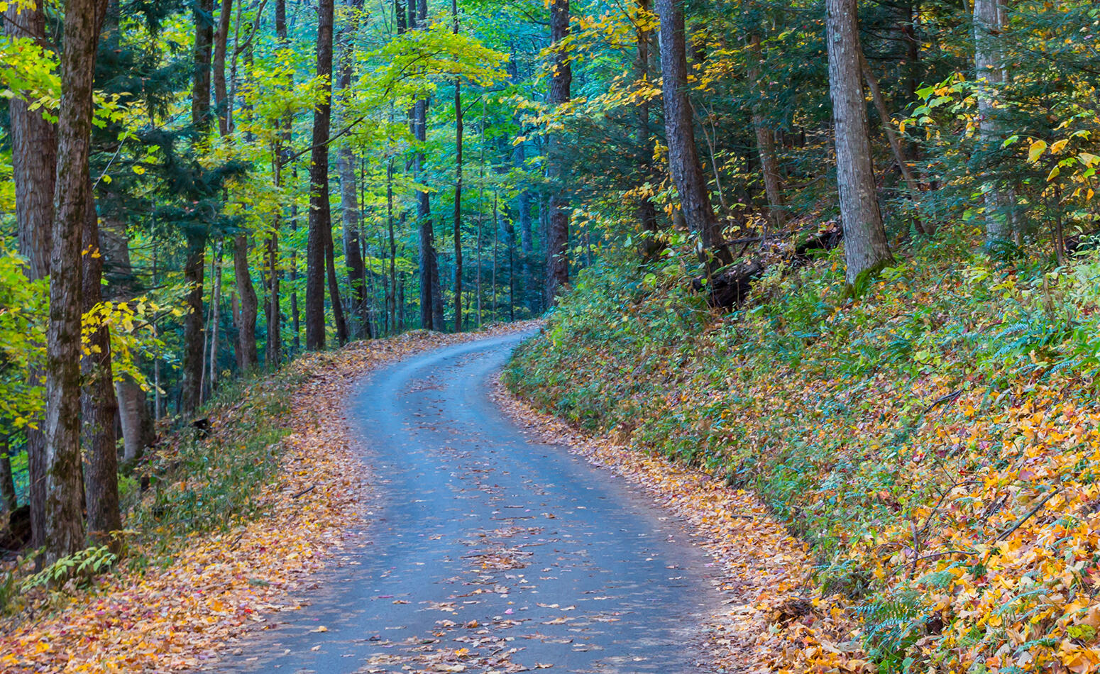 Roaring Fork Motor Nature Trail