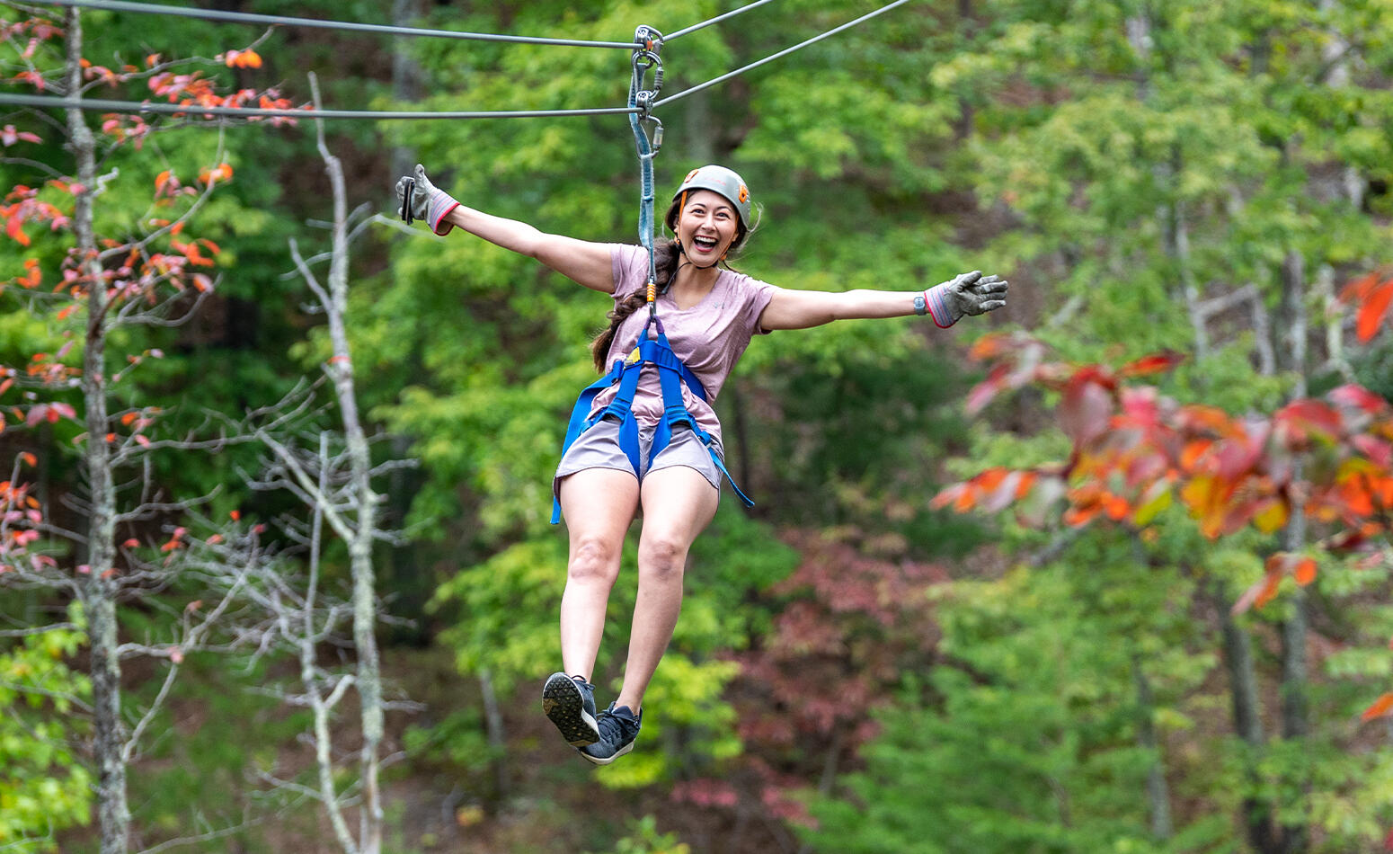 Legacy Mountain Ziplines