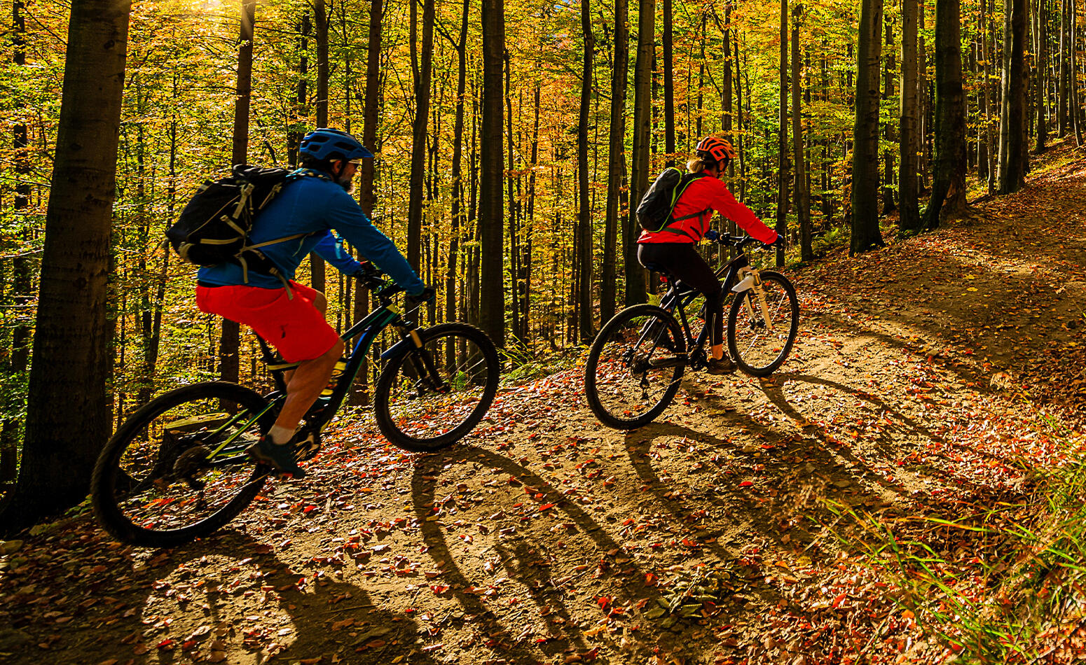Biking in the Smokies