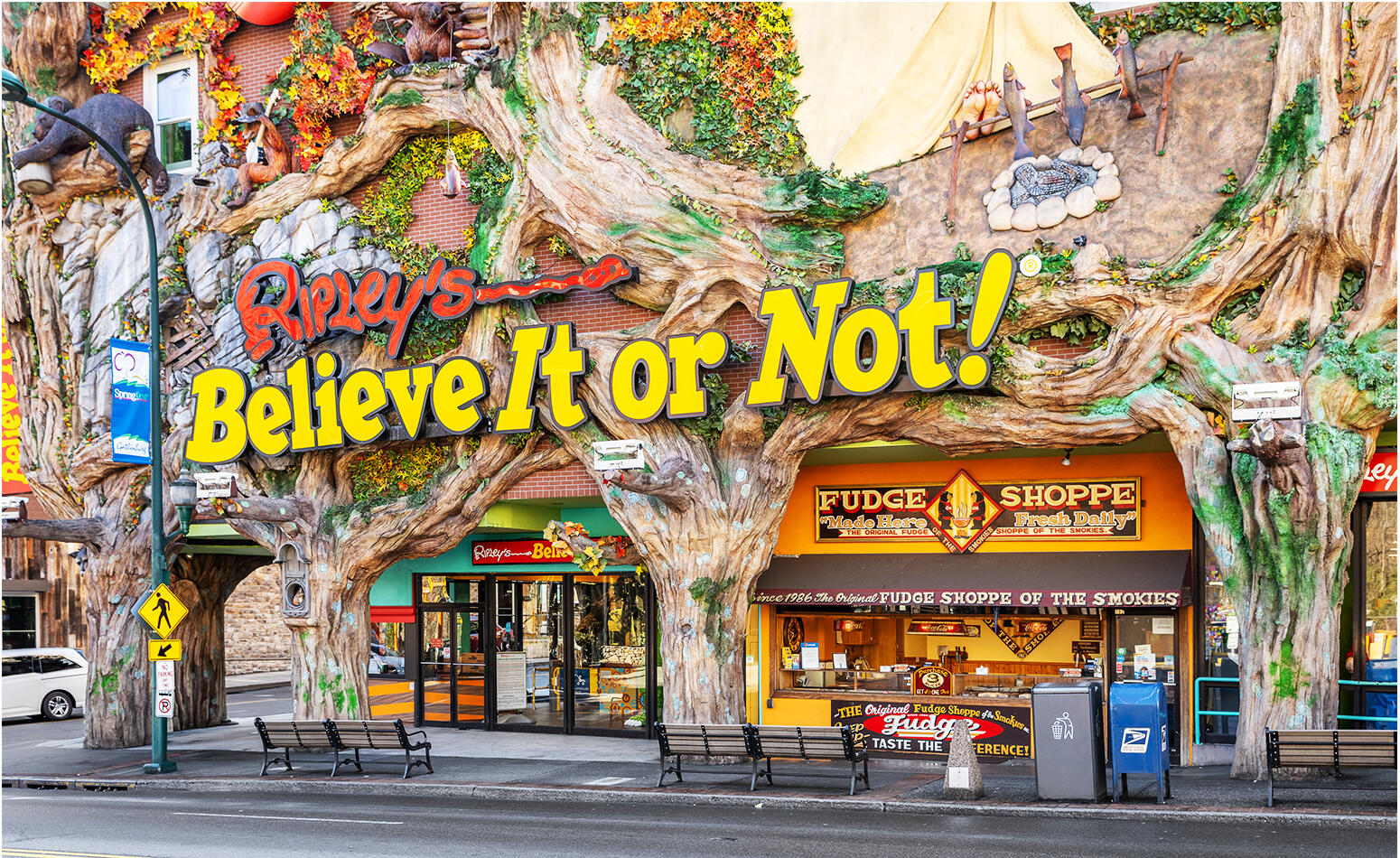 Ripley's Believe it Or Not!