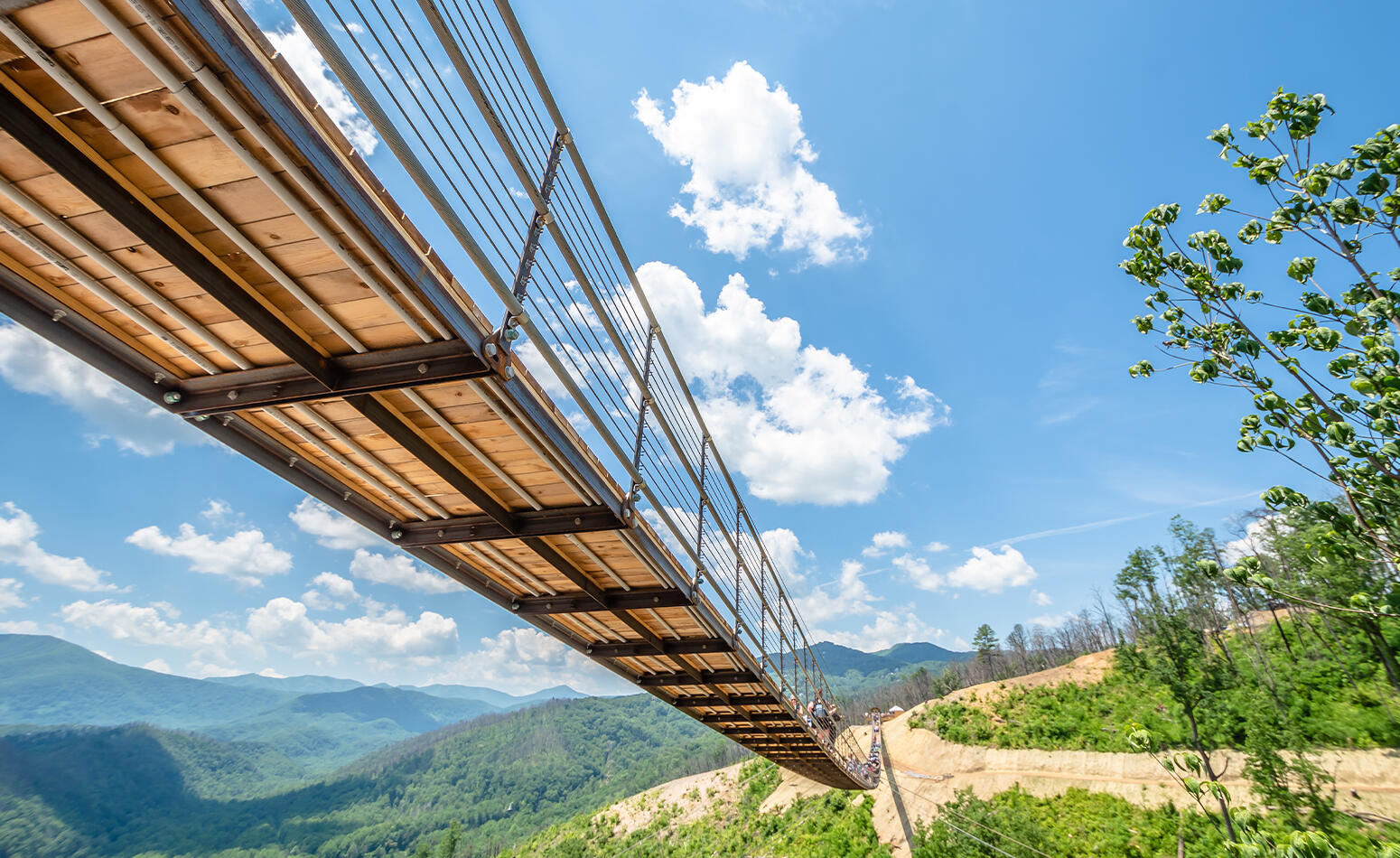 SkyBridge in Gatlinburg