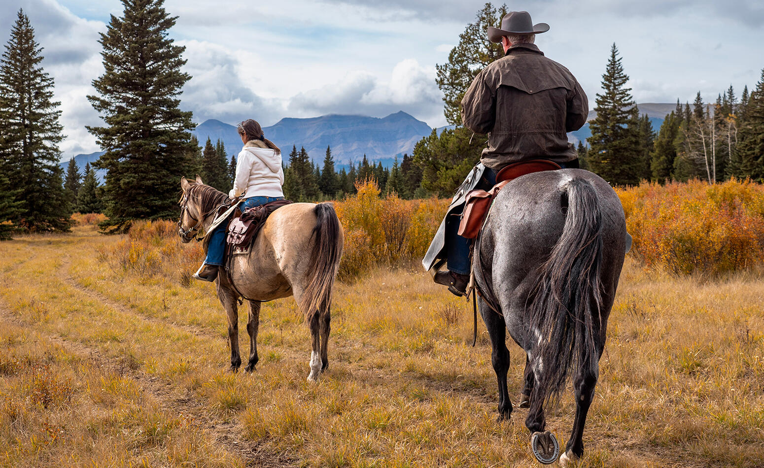 Sugarlands Riding Stables.
