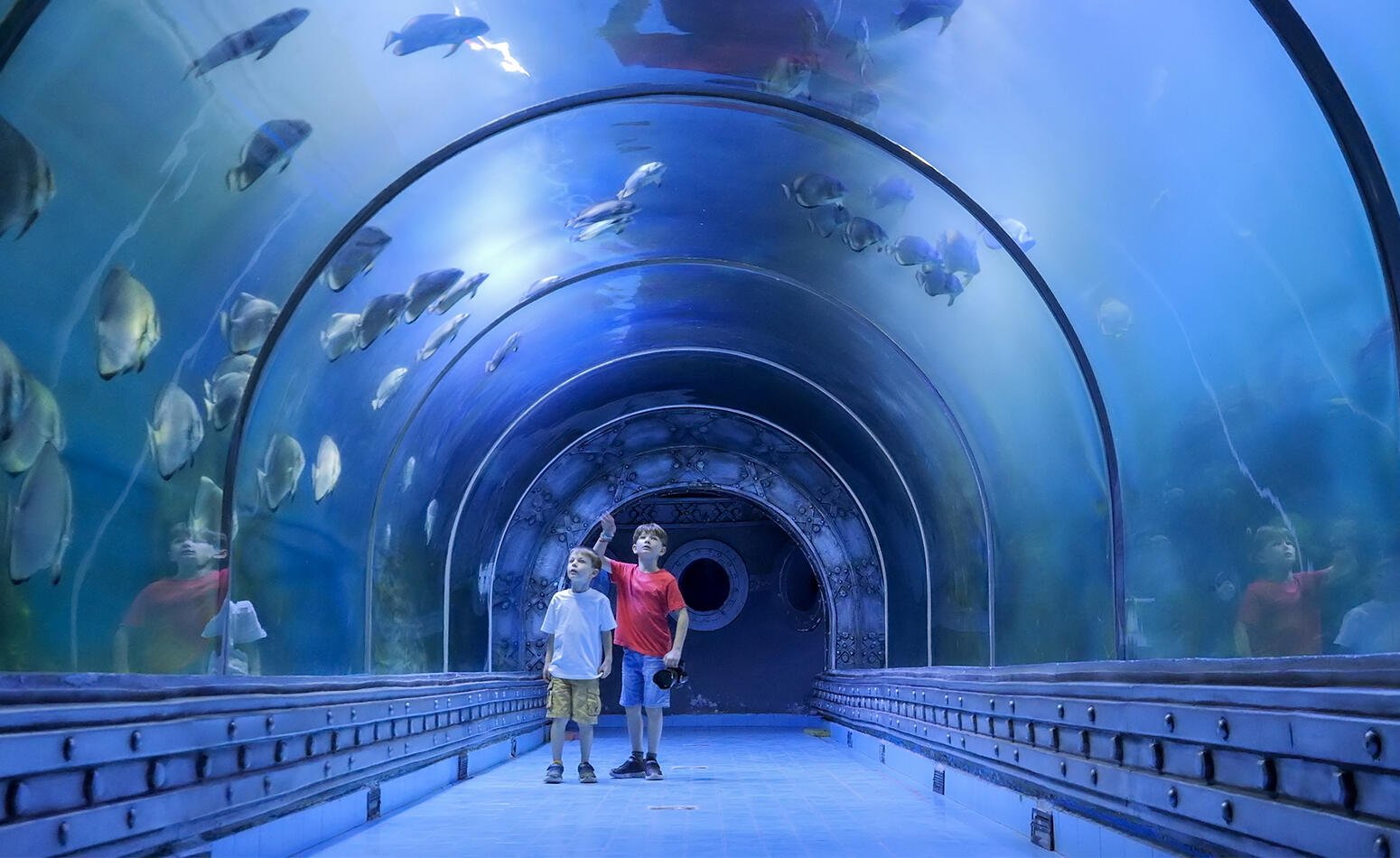 Ripley's Aquarium of the Smokies